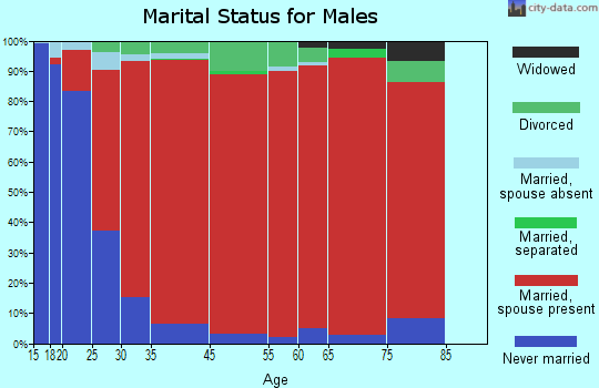 Dacula-Rocky Creek marital status for males