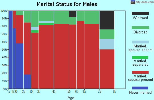 Dixie marital status for males