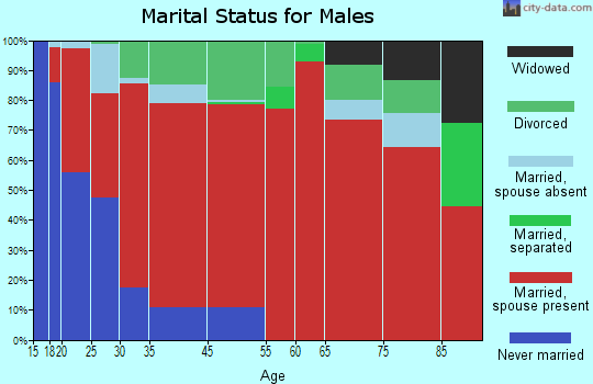 Dixie Union marital status for males