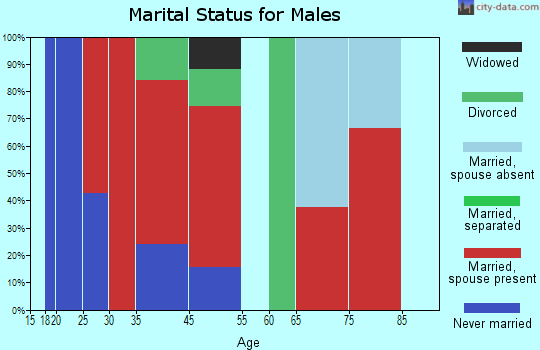 Elko marital status for males