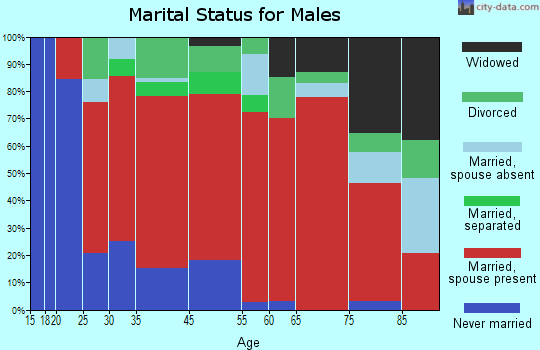 Irwinville marital status for males