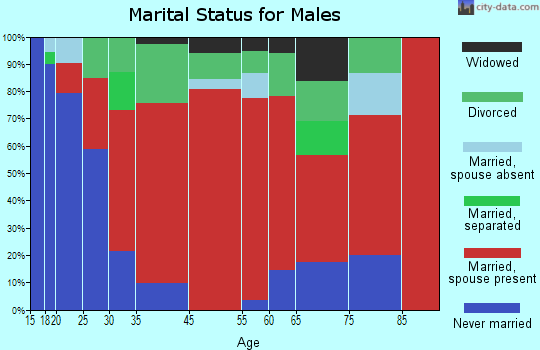 Ivylog marital status for males