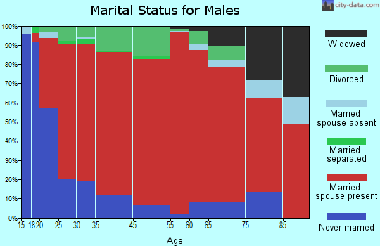 Northeast Cobb marital status for males