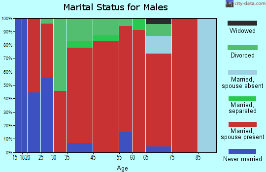 North Ogeechee marital status for males