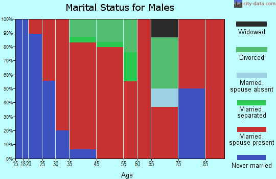 Panhandle marital status for males