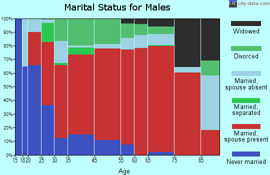 Rich Mountain marital status for males