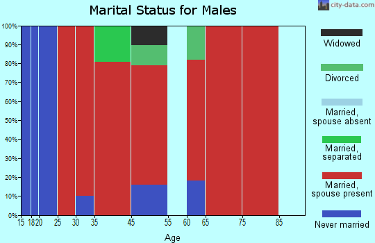 Rock Spring marital status for males