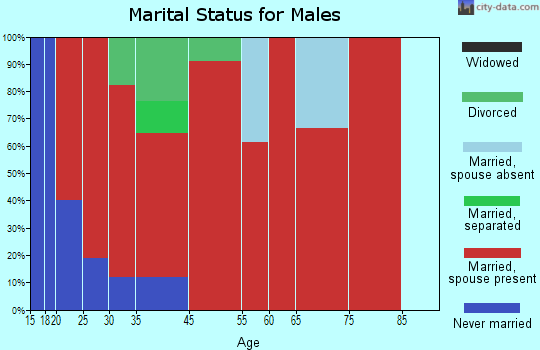 Dixons Mill marital status for males