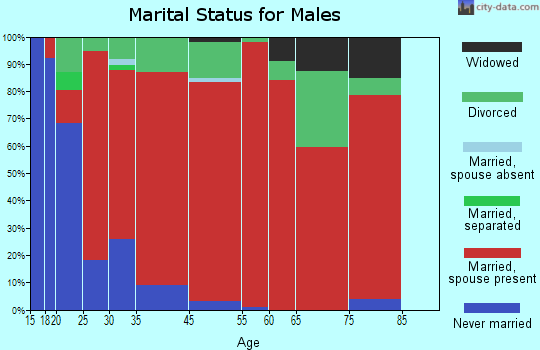 Silver City marital status for males