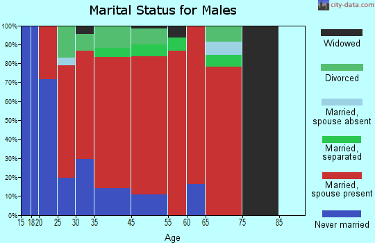 South Ogeechee marital status for males