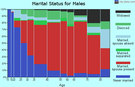 South Rockdale marital status for males