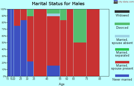 Sugar Valley-Resaca marital status for males
