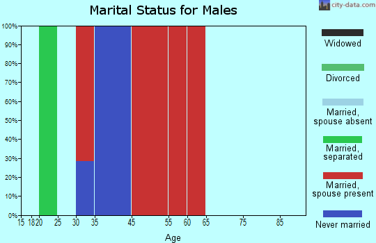 Waynesville marital status for males