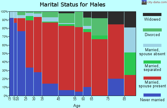 Zenith marital status for males