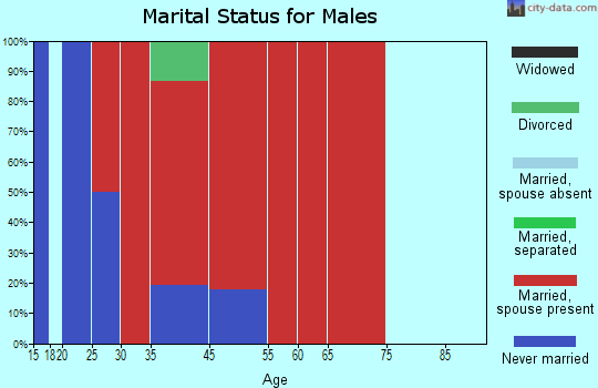 Boise Hills marital status for males