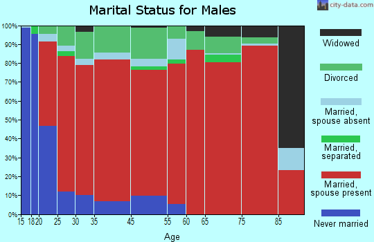 Bruneau marital status for males