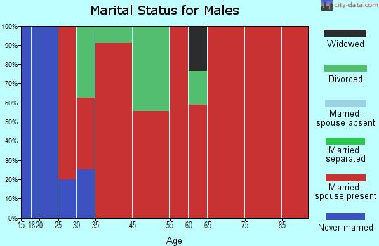 Emmett Valley marital status for males