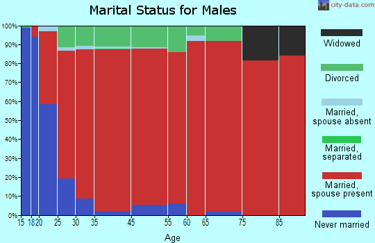Mink Creek marital status for males