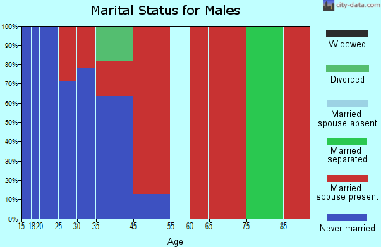 South Bannock marital status for males