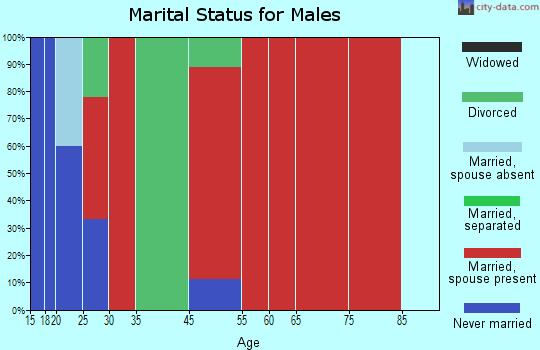 Laceys Spring marital status for males