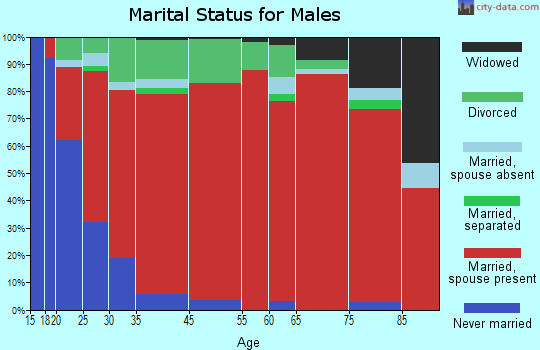 Little Texas-Society Hill marital status for males