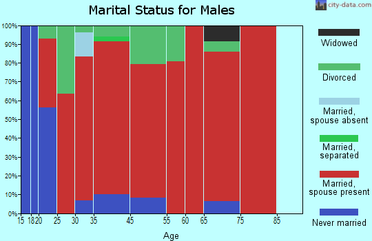 Ashcamp marital status for males
