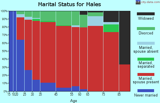 Ashers Fork marital status for males