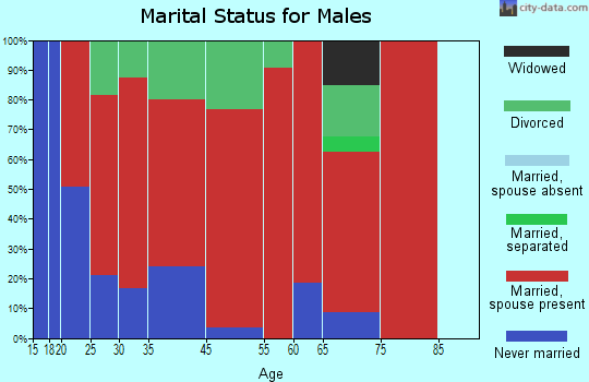 Big Creek marital status for males