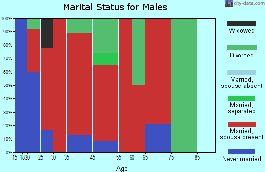 Burning Springs marital status for males