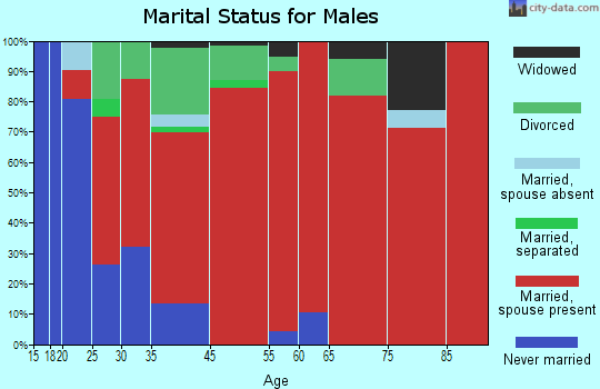Casey Creek marital status for males
