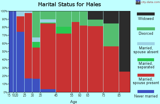 Cerulean Springs marital status for males