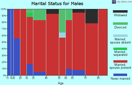 Christianburg marital status for males