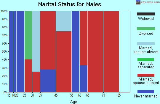 Millerville-Hollins marital status for males