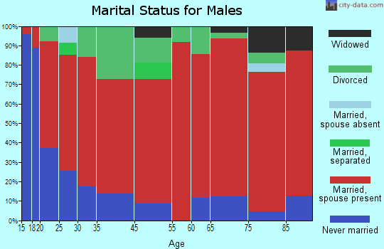 Fancy Farm marital status for males