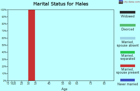 Farmington marital status for males