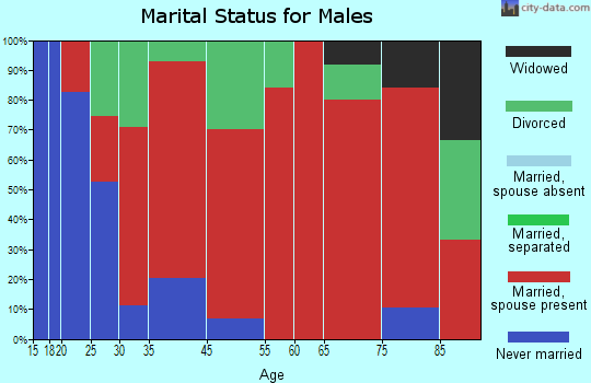 Mineral Springs marital status for males