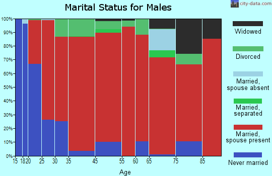 Morris Chapel marital status for males