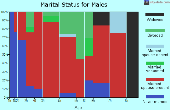 Kirkmansville marital status for males