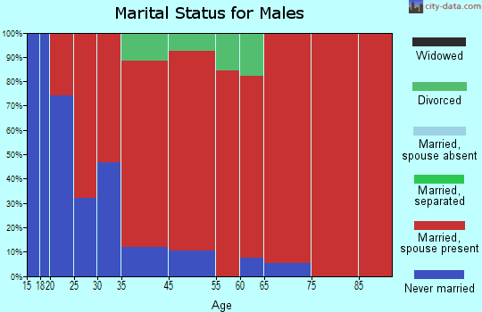 Millerstown marital status for males