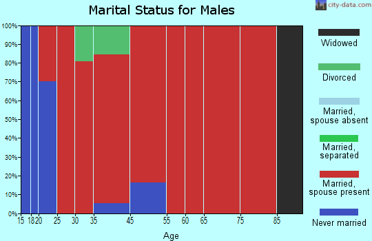 New Concord marital status for males