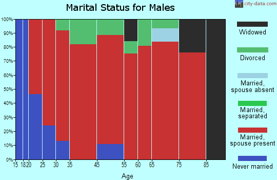 Pine Mountain marital status for males