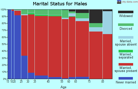 Rocky Hill marital status for males