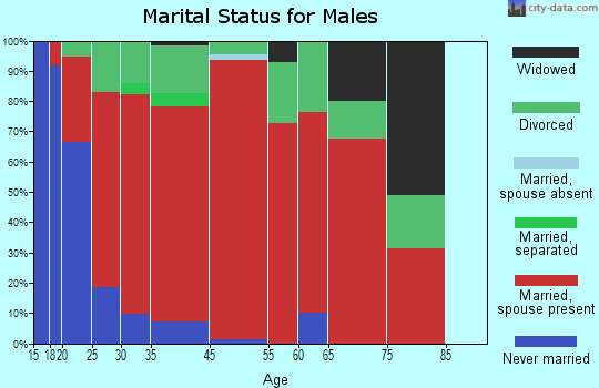 Saxton marital status for males