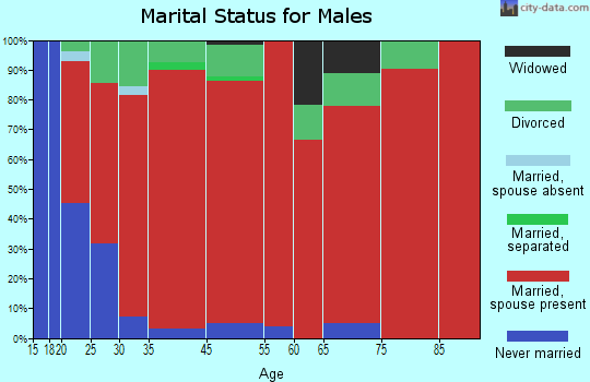Shopville marital status for males