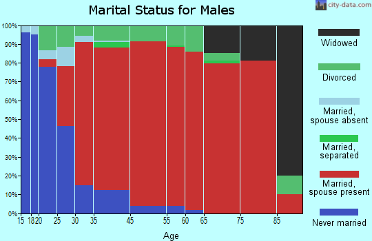 Sugar Grove marital status for males