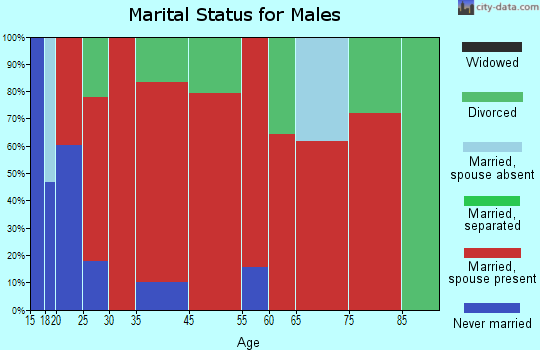 Summersville marital status for males