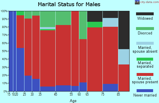Welchs Creek marital status for males