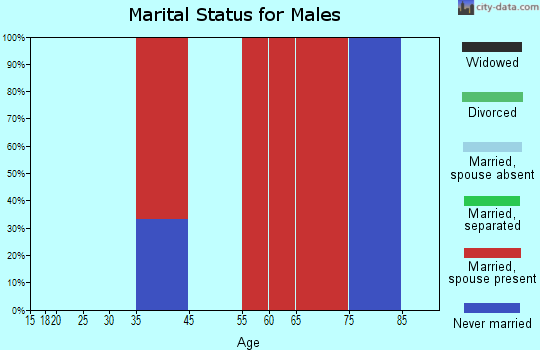 Arrowsic marital status for males