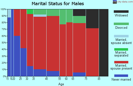 Arundel marital status for males