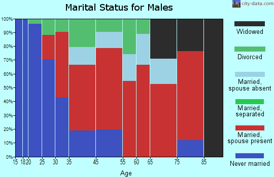 Baldwin marital status for males